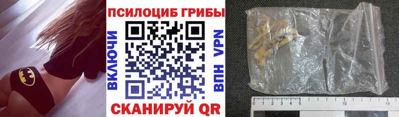 omg зеркало  сколько стоит  Кириллов  Псилоцибиновые грибы MAGIC MUSHROOMS 